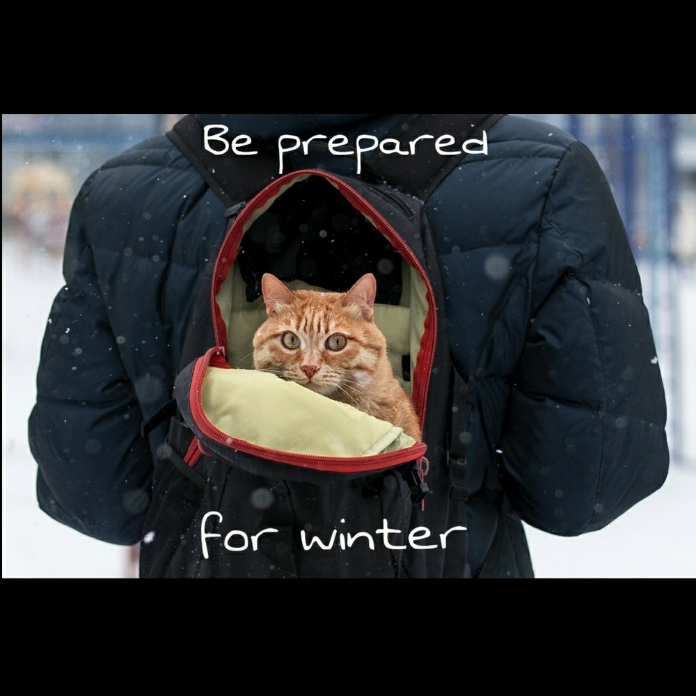 Ad winter